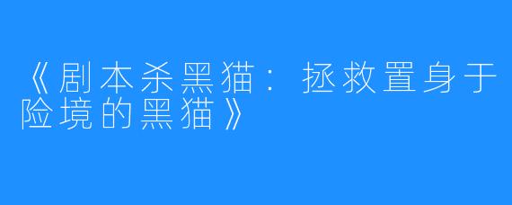 《剧本杀黑猫:拯救置身于险境的黑猫》