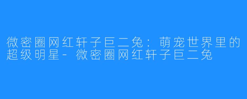 微密圈网红轩子巨二兔：萌宠世界里的超级明星-微密圈网红轩子巨二兔