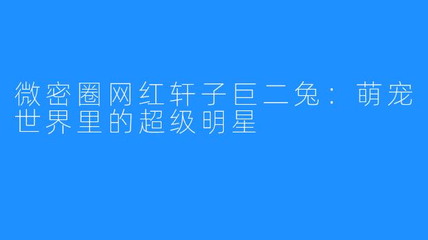 微密圈网红轩子巨二兔：萌宠世界里的超级明星