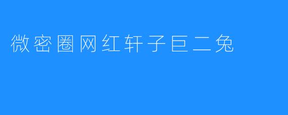 微密圈网红轩子巨二兔