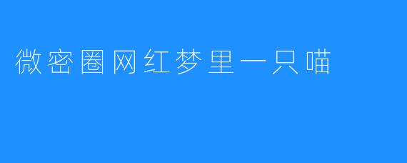 微密圈网红梦里一只喵