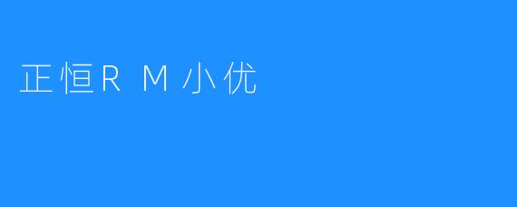 ### 探索“正恒RM小优”的魅力与价值