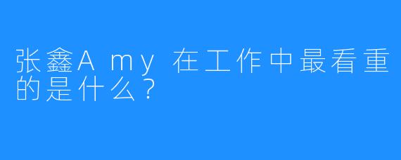 张鑫Amy在工作中最看重的是什么？