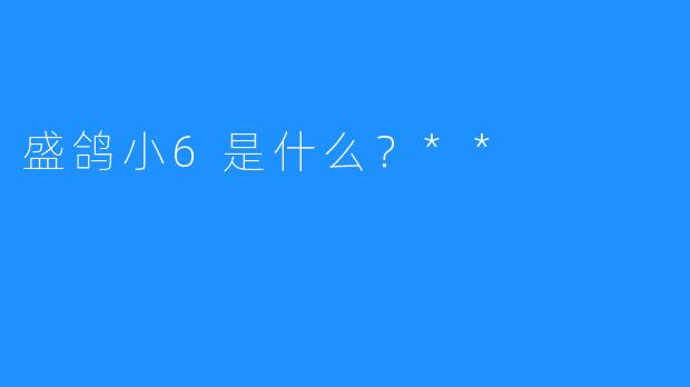 盛鸽小6是什么?**