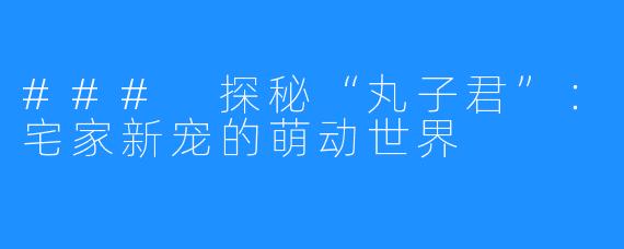 ### 探秘“丸子君”:宅家新宠的萌动世界