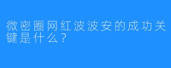 微密圈网红波波安的成功关键是什么？