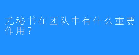 尤秘书在团队中有什么重要作用?