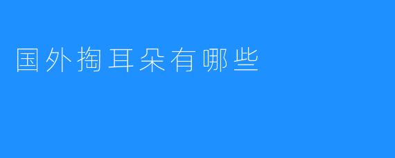国外掏耳朵有哪些