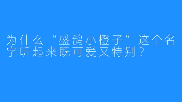 为什么“盛鸽小橙子”这个名字听起来既可爱又特别?