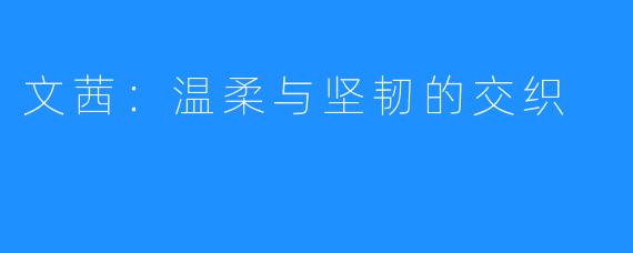 文茜：温柔与坚韧的交织