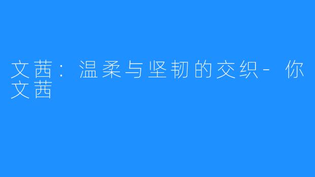 文茜：温柔与坚韧的交织-你文茜