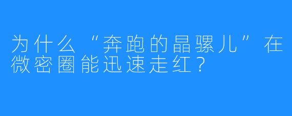 为什么“奔跑的晶骡儿”在微密圈能迅速走红？