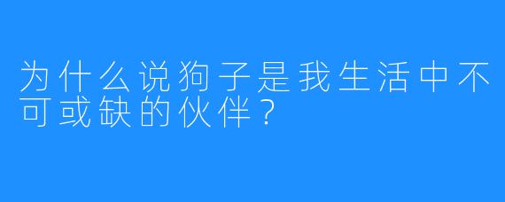 为什么说狗子是我生活中不可或缺的伙伴？