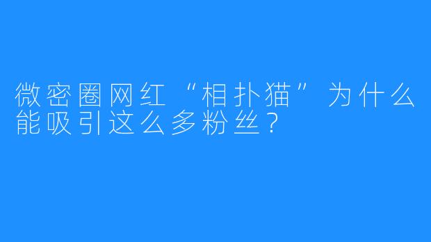 微密圈网红“相扑猫”为什么能吸引这么多粉丝?
